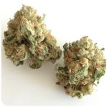 Шишки "White Widow"  (Белая вдова)  Гидропоника -  Бошка VHQ в Сольцах